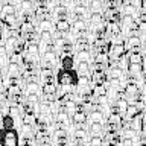 Meet your Posher, Rosie